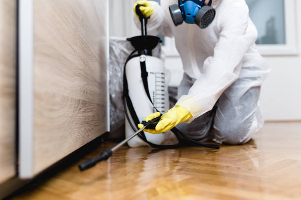 Pest Prevention Services in Easley, SC